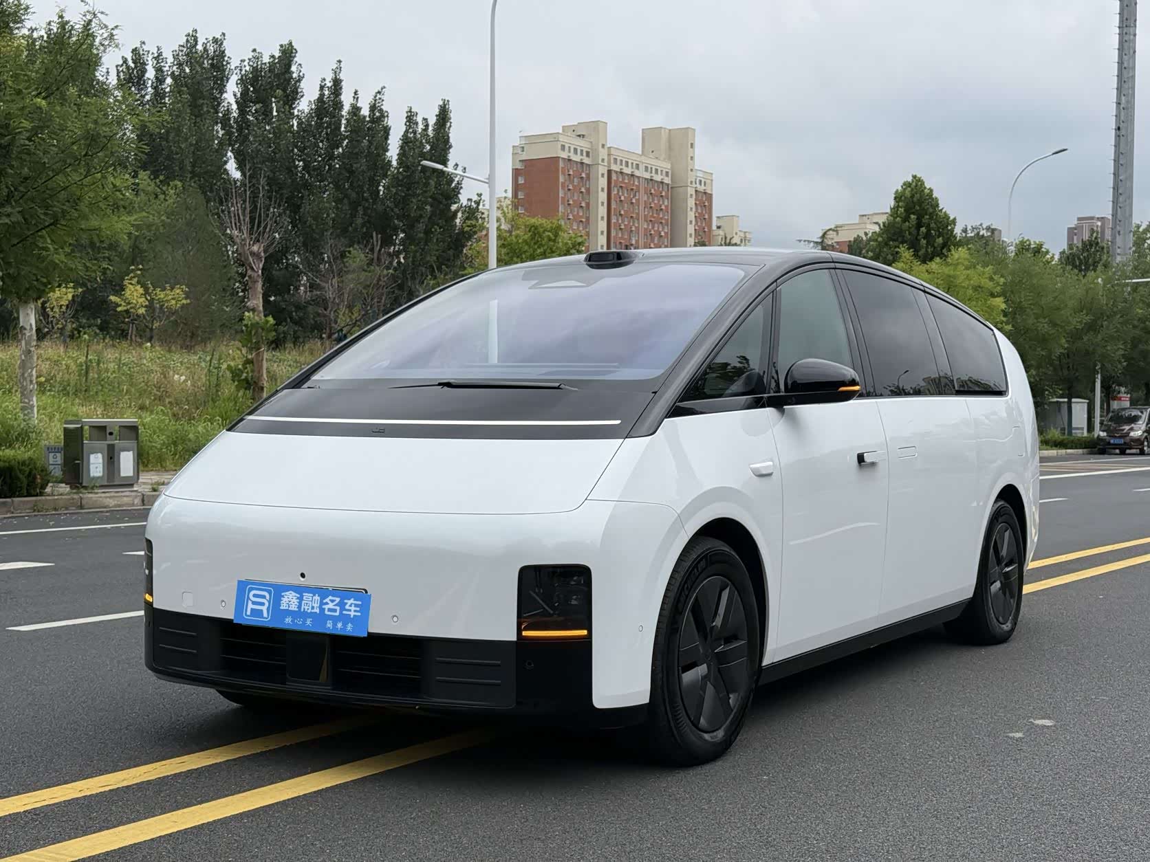 LiXiang MEGA