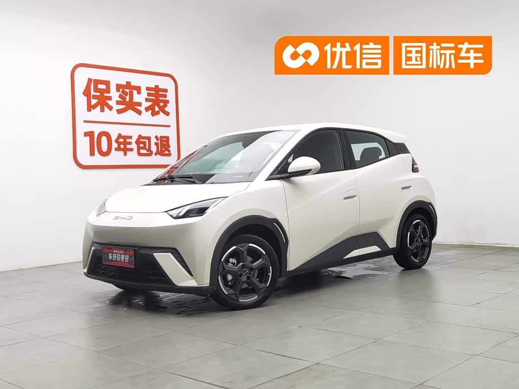 BYD Seagull