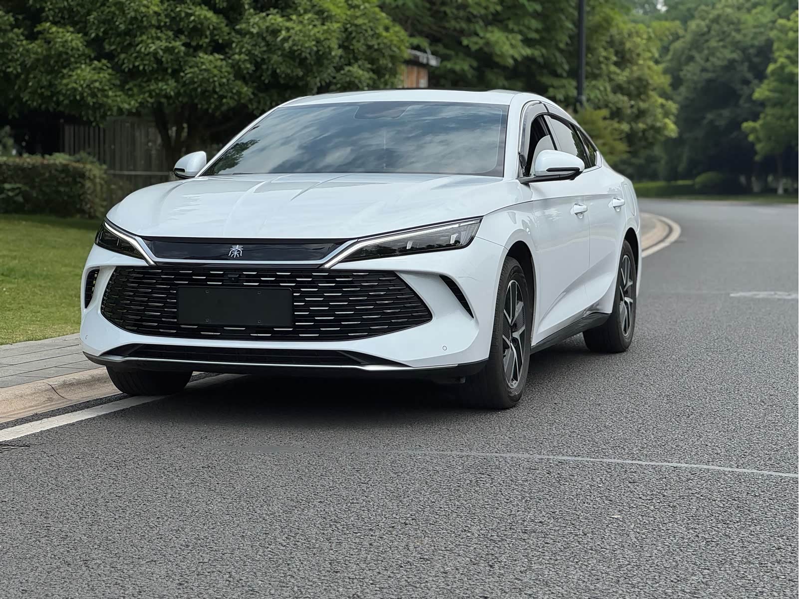 BYD Qin L