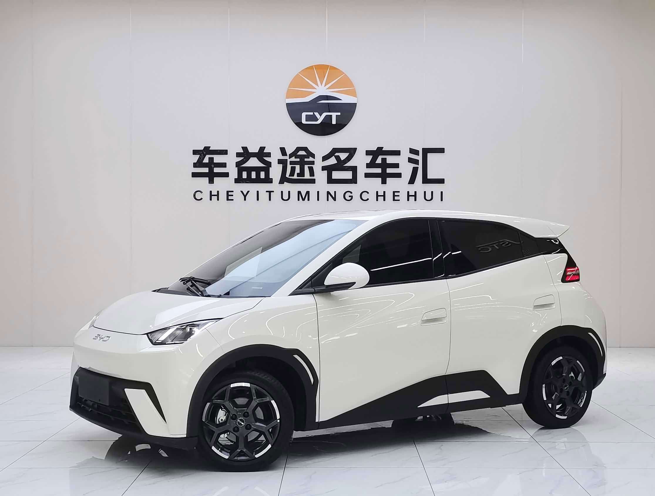 BYD Seagull