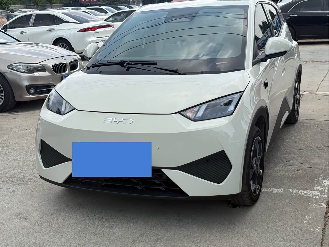 BYD Seagull