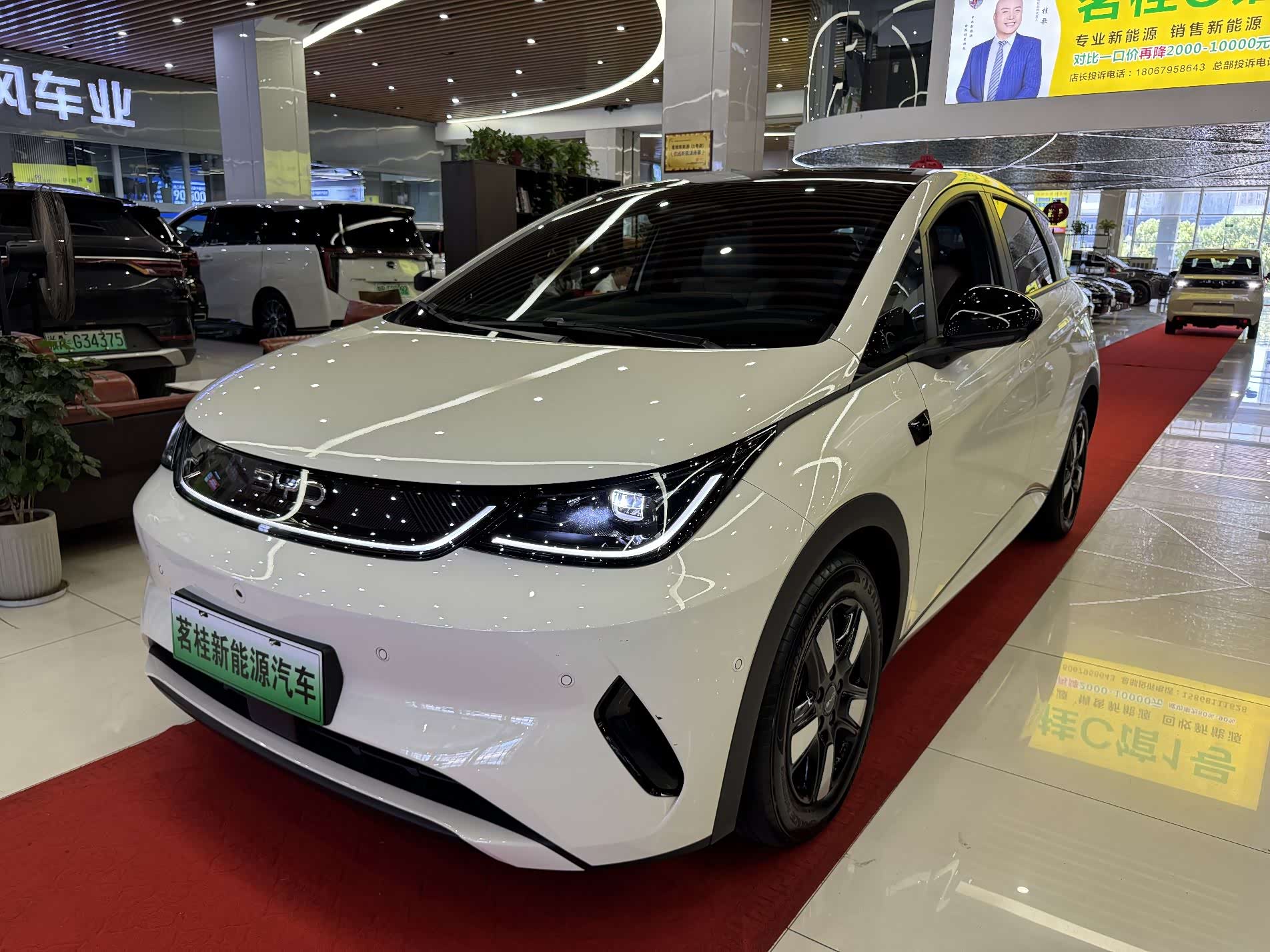 BYD Dolphin