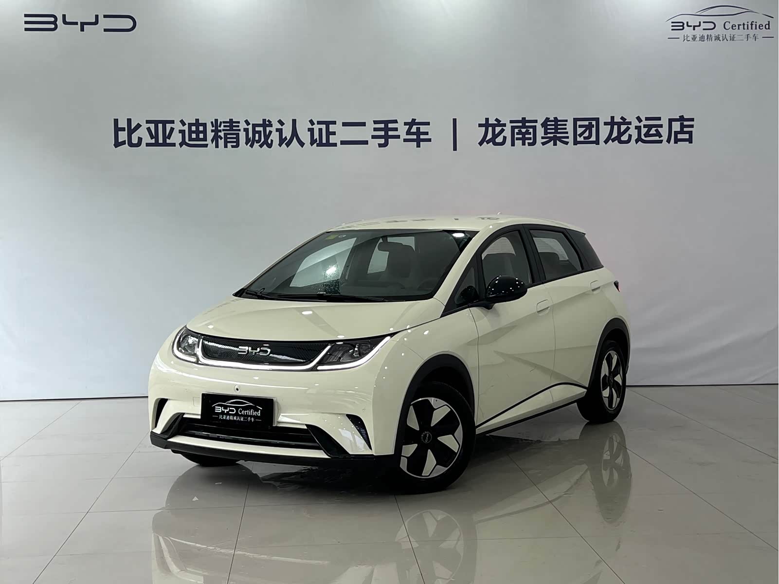 BYD Dolphin