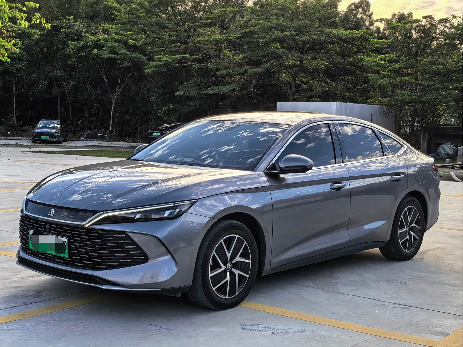 BYD Qin L